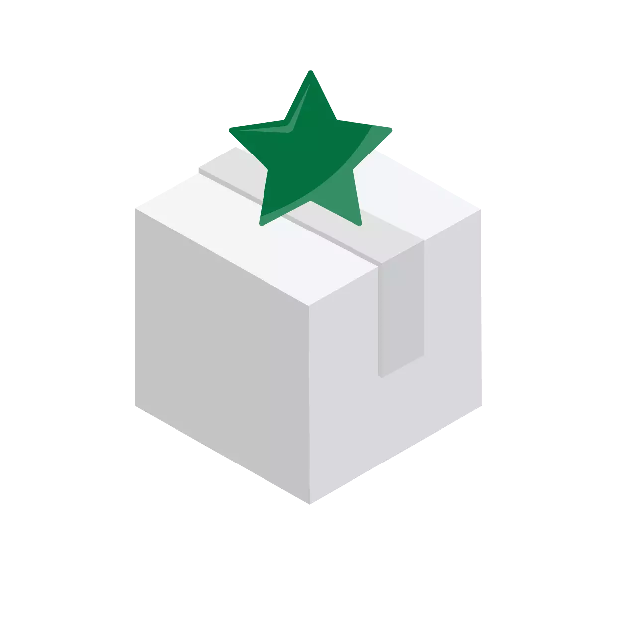 Special Packaging icon